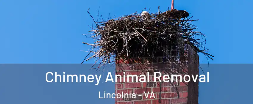 Chimney Animal Removal Lincolnia - VA