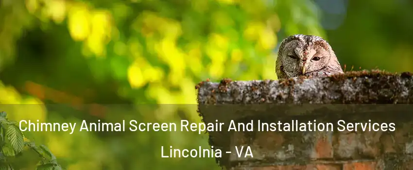  Chimney Animal Screen Repair And Installation Services Lincolnia - VA