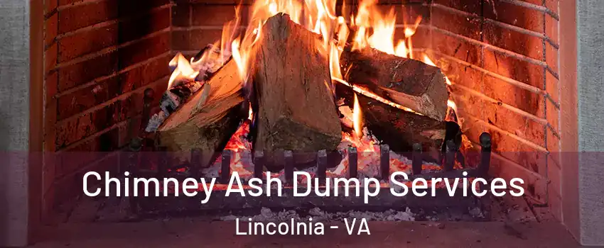  Chimney Ash Dump Services Lincolnia - VA