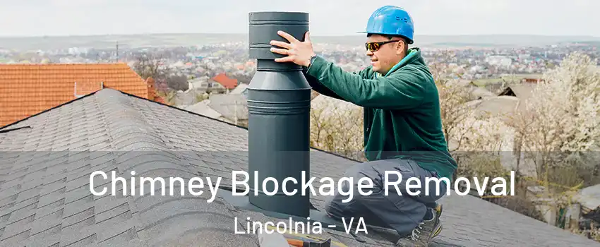  Chimney Blockage Removal Lincolnia - VA