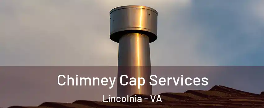  Chimney Cap Services Lincolnia - VA