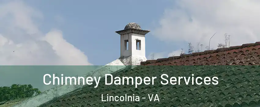  Chimney Damper Services Lincolnia - VA