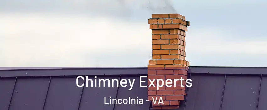 Chimney Experts Lincolnia - VA
