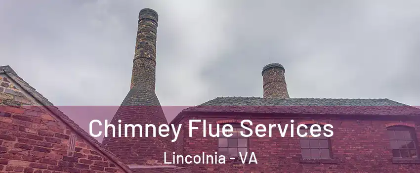 Chimney Flue Services Lincolnia - VA