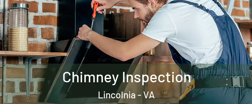  Chimney Inspection Lincolnia - VA