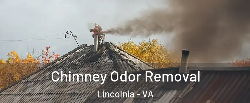  Chimney Odor Removal Lincolnia - VA