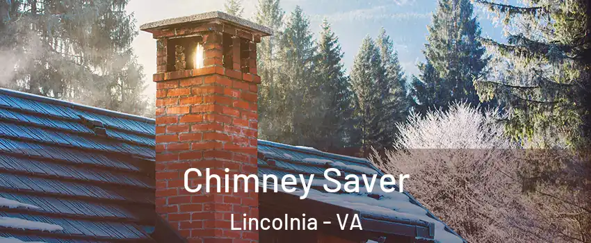  Chimney Saver Lincolnia - VA