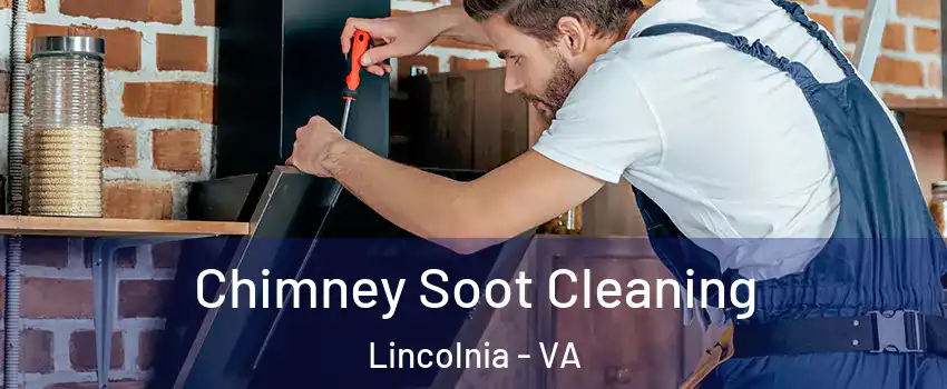  Chimney Soot Cleaning Lincolnia - VA