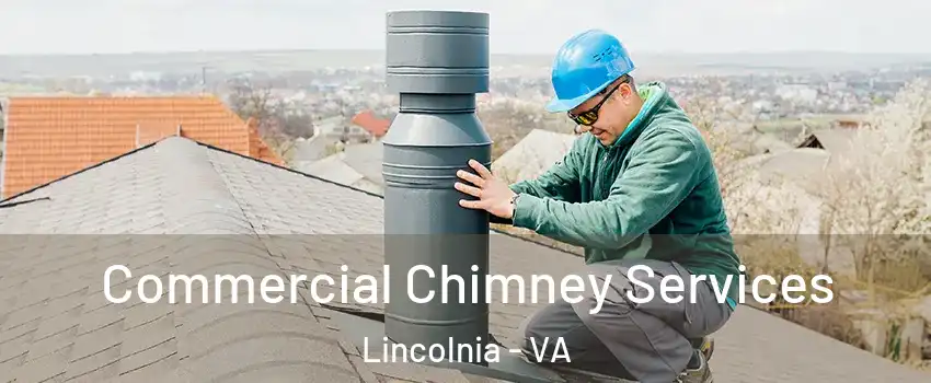  Commercial Chimney Services Lincolnia - VA