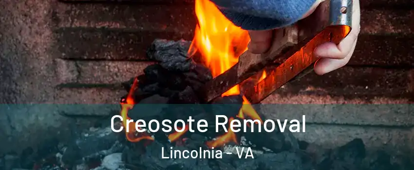  Creosote Removal Lincolnia - VA