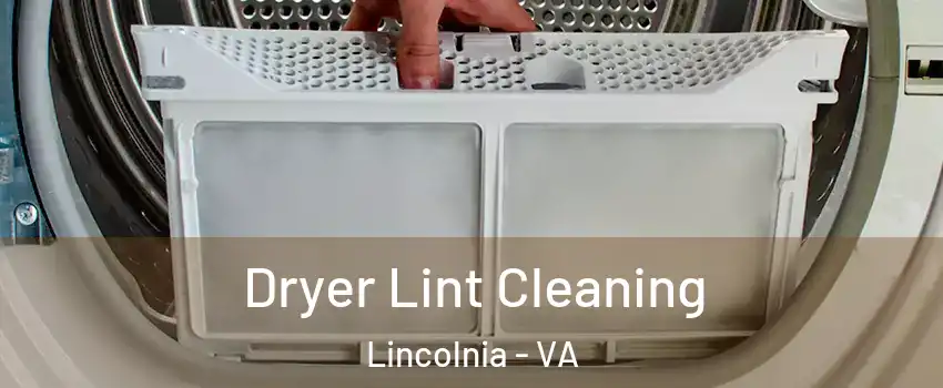  Dryer Lint Cleaning Lincolnia - VA