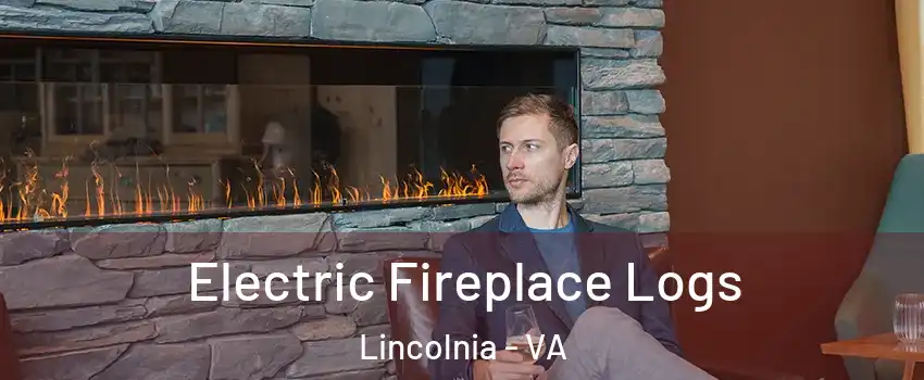  Electric Fireplace Logs Lincolnia - VA