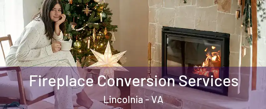  Fireplace Conversion Services Lincolnia - VA