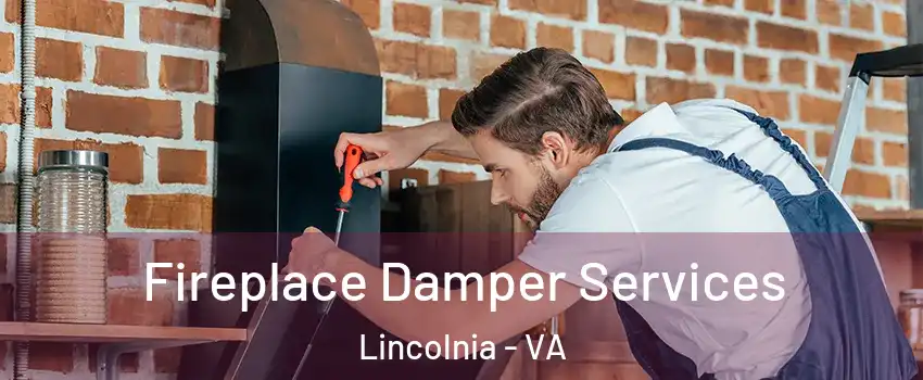  Fireplace Damper Services Lincolnia - VA