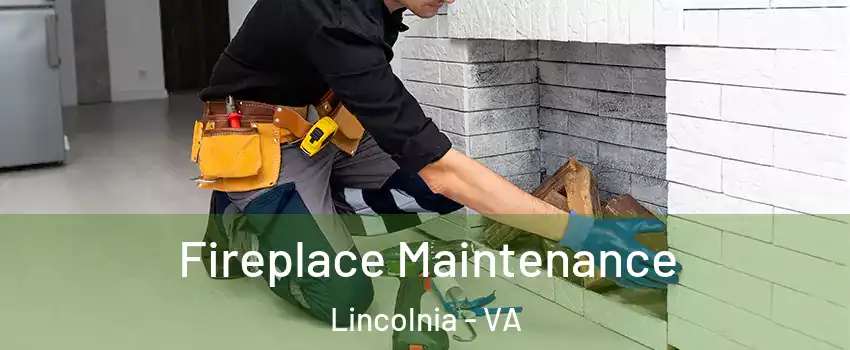  Fireplace Maintenance Lincolnia - VA