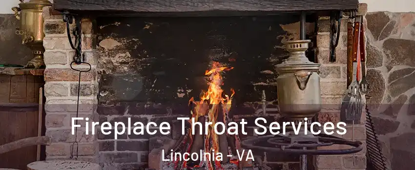  Fireplace Throat Services Lincolnia - VA
