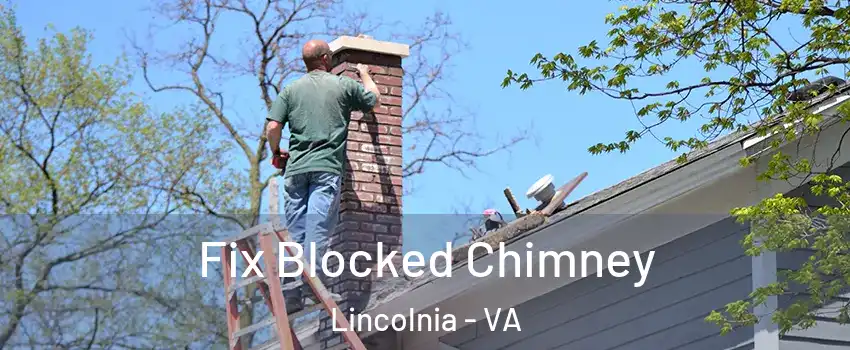  Fix Blocked Chimney Lincolnia - VA