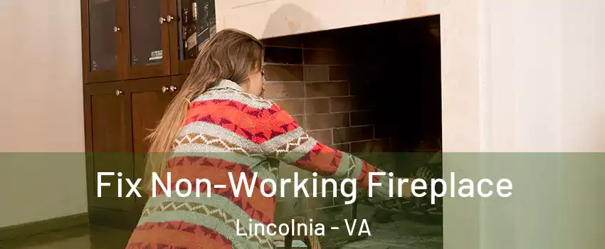  Fix Non-Working Fireplace Lincolnia - VA
