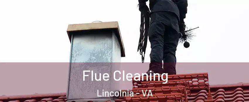  Flue Cleaning Lincolnia - VA