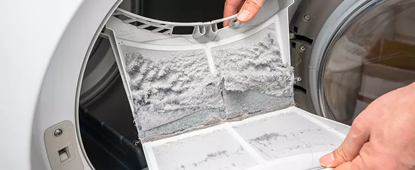 Best Dryer Lint Removal Company in Lincolnia, Virginia