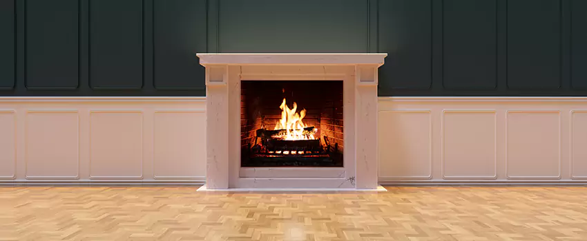 Napoleon Electric Fireplaces Inspection Service in Lincolnia, Virginia