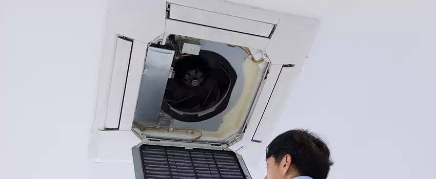 Benefits of Professional Air Duct Cleaning in Lincolnia, Virginia