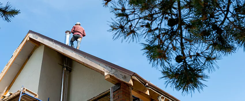 Birds Removal Contractors from Chimney in Lincolnia, VA