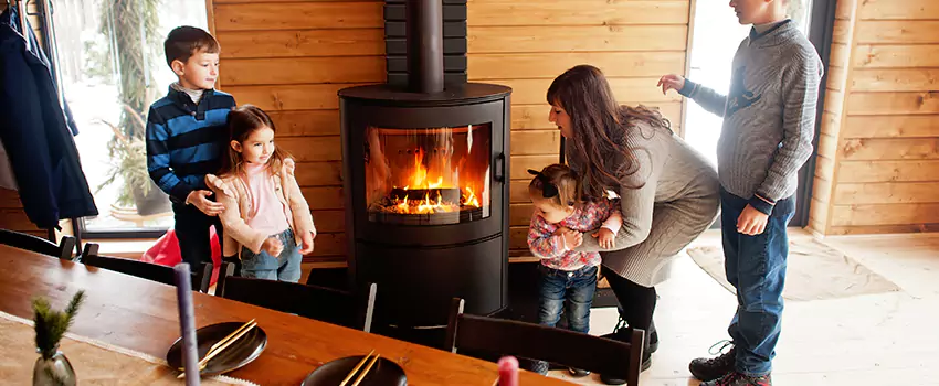 Jøtul Gas Fireplace Inspection Service in Lincolnia, Virginia