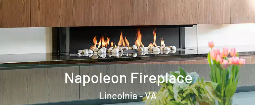  Napoleon Fireplace Lincolnia - VA
