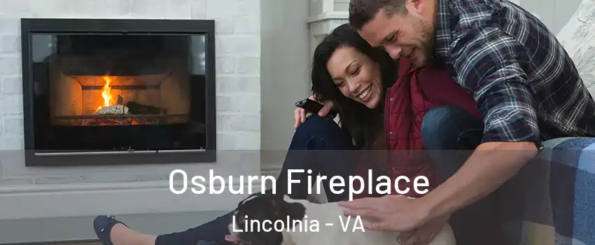  Osburn Fireplace Lincolnia - VA